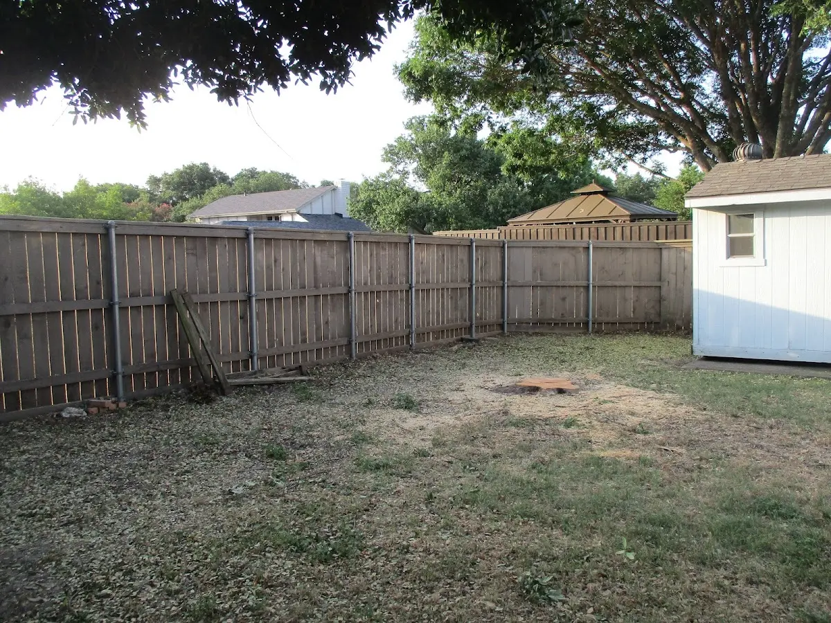 Cleared yard after professional tree removal in Callicoon Center